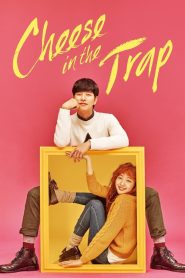 Cheese in the Trap (2016)